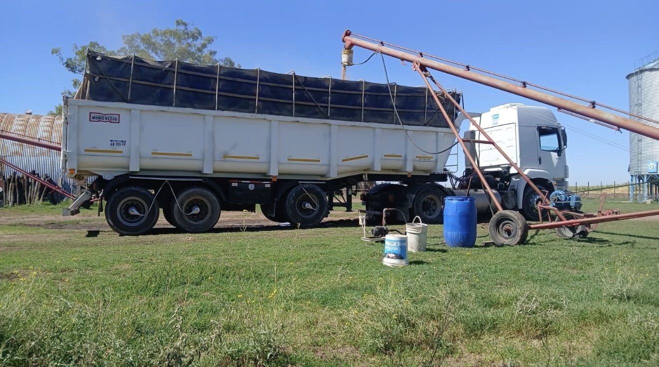 Batea de Lapiru cargando cereal a granel en el campo